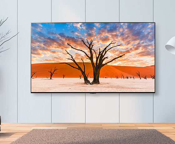 LG QNED TVs