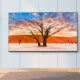 LG QNED TVs