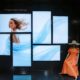 TCL Commercial Display